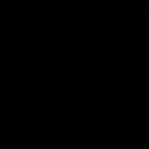 Meet your Posher, Jamal